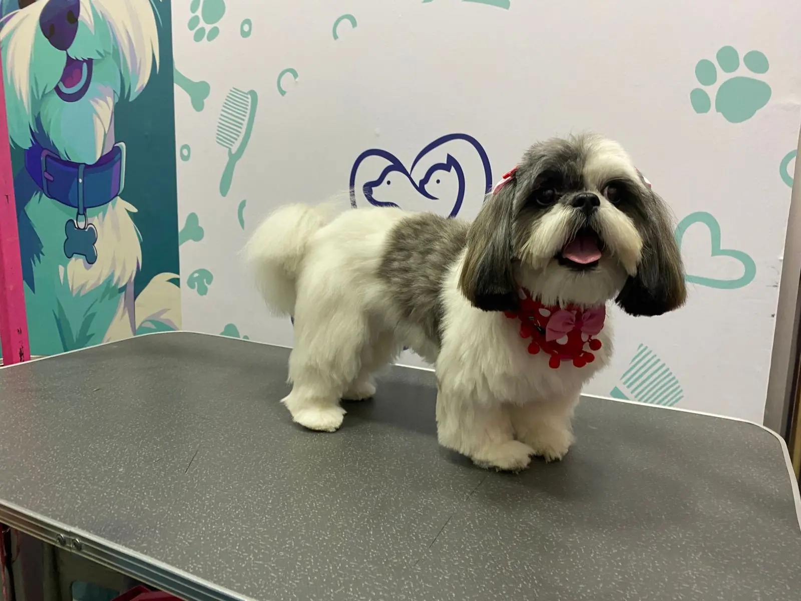 WhatsApp Image 2026-01-29 at 6.31.28 PM (1)