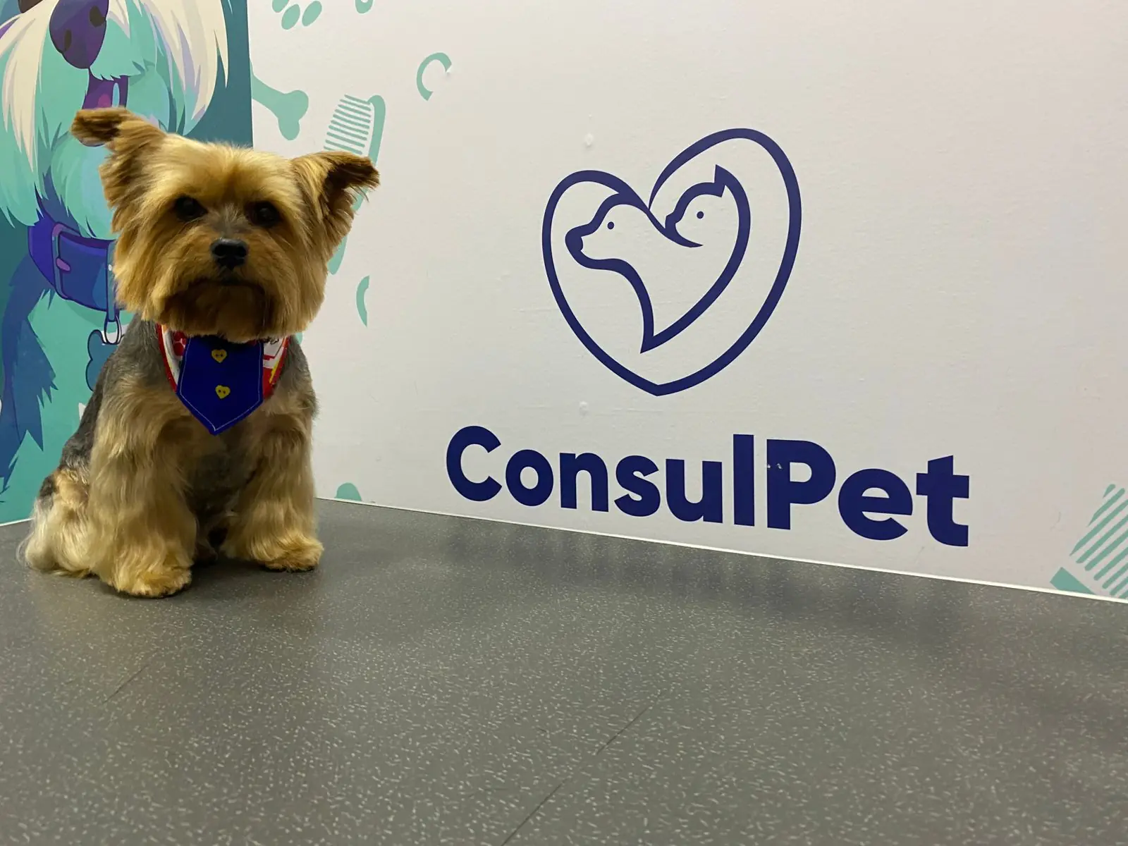 WhatsApp Image 2026-01-29 at 6.31.28 PM