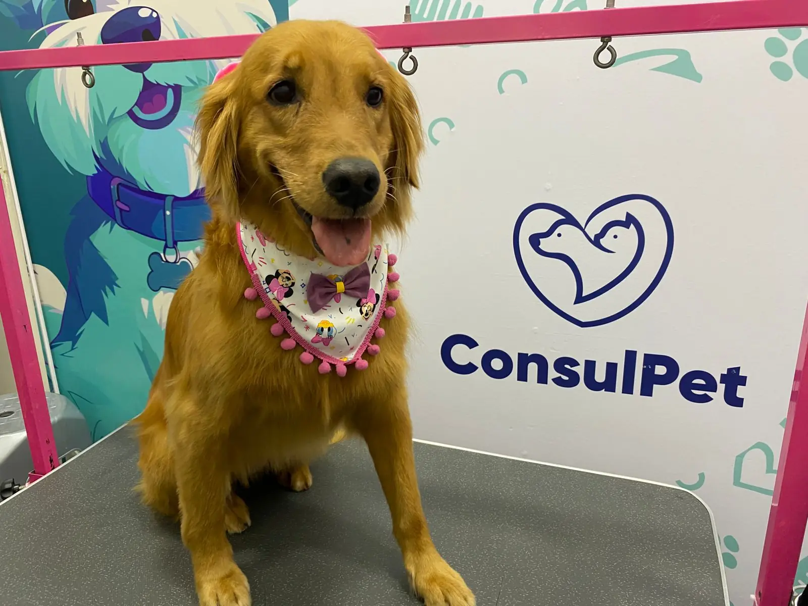 WhatsApp Image 2026-01-29 at 6.31.29 PM (1)