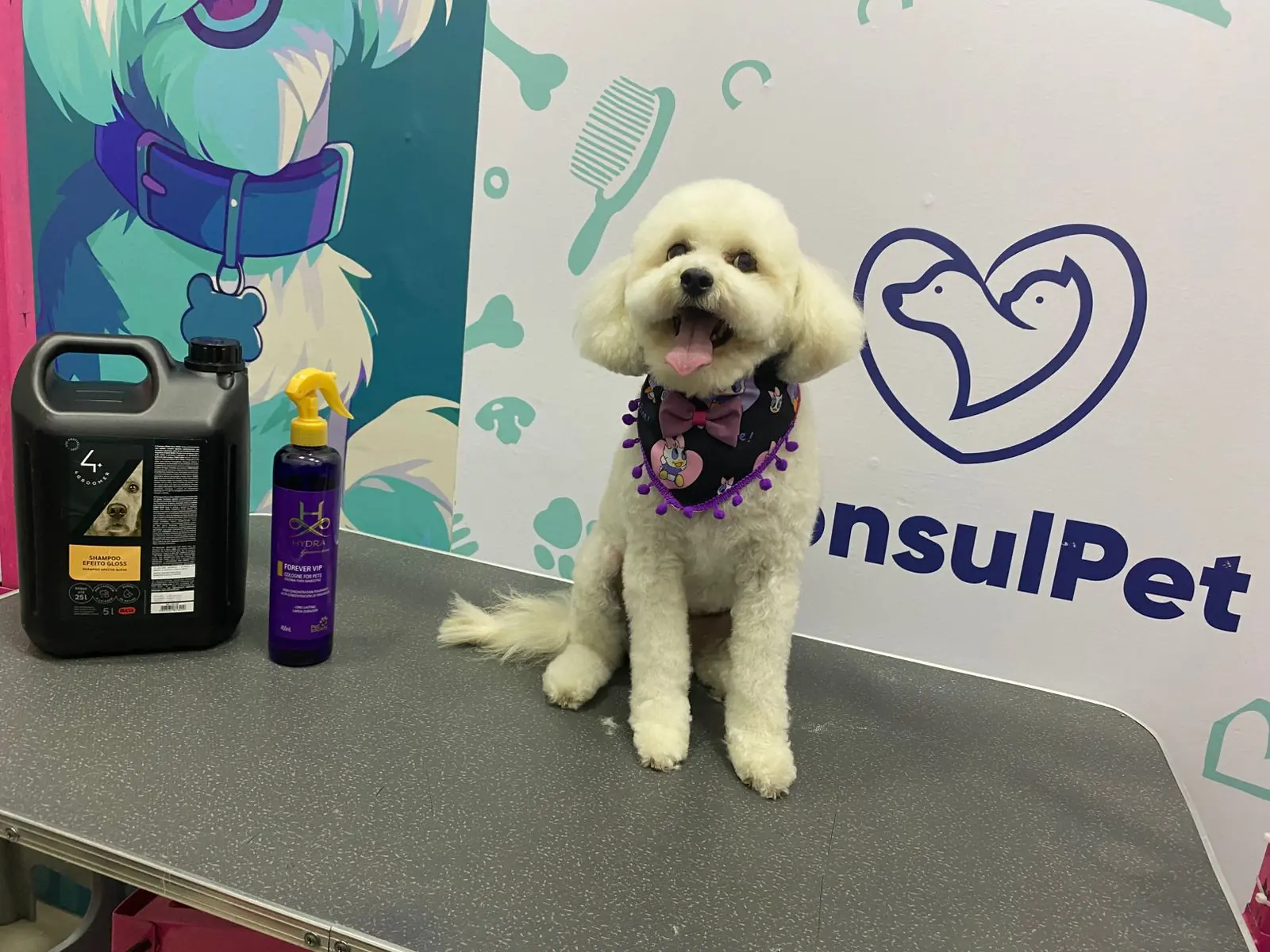 WhatsApp Image 2026-01-29 at 6.31.29 PM